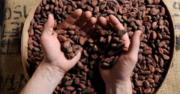 5 choses que vous ne savez peut-être pas sur… le chocolat !