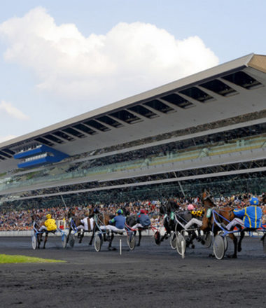 LES ECURIES DE L’HIPPODROME DE VINCENNES