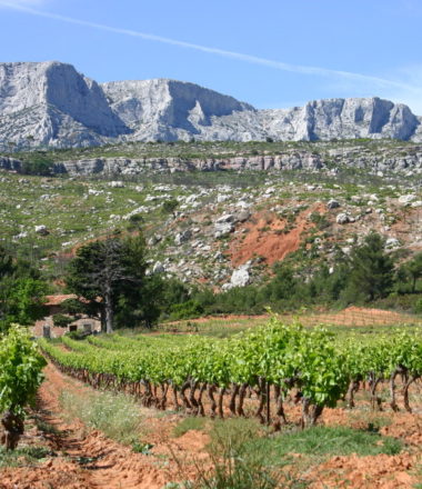 DOMAINE TERRE DE MISTRAL